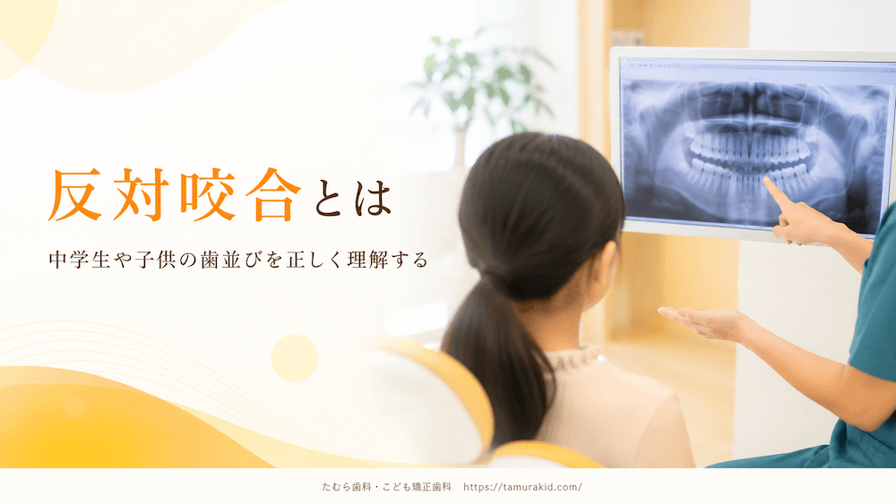 反対咬合とは｜中学生や子供の歯並びを正しく理解する