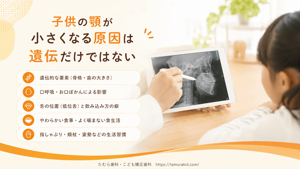 子供の顎が小さくなる原因は遺伝だけではない?