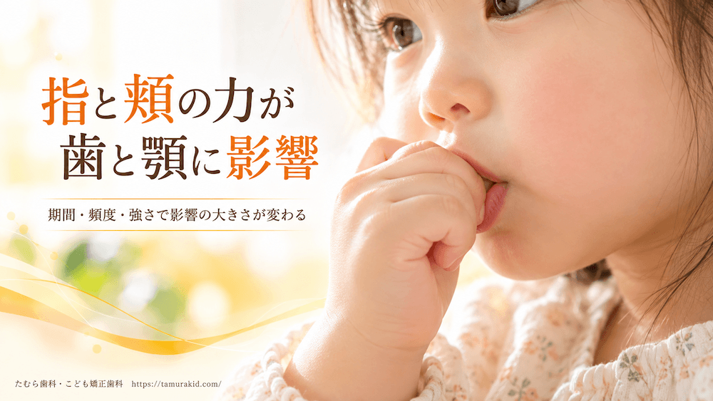 指しゃぶりが歯並びに影響する仕組み